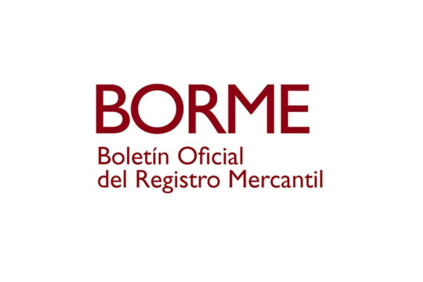 Qué es el Borme