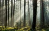 Vibrant Planet utiliza IA para mapear la tierra y mejorar la resiliencia climática