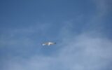 how to use bluesky