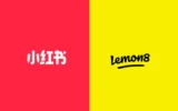 Anuncio de servicio público: Xiaohongshu y Lemon8 no son alternativas viables a TikTok